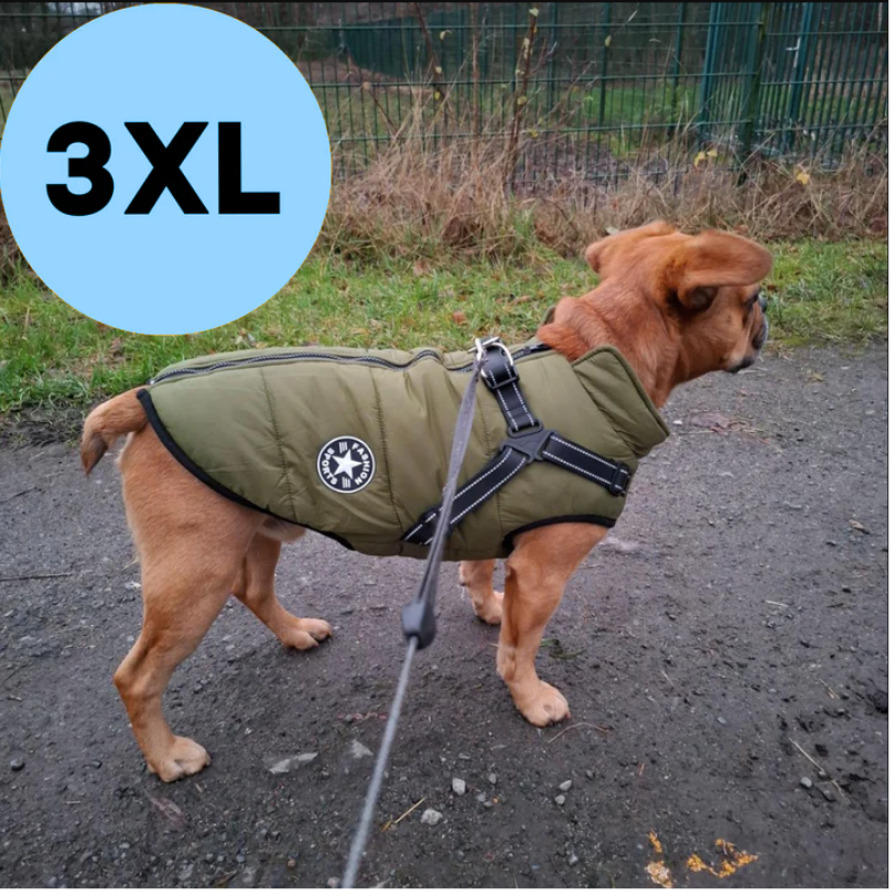 NEOLU - Premium Hundemantel