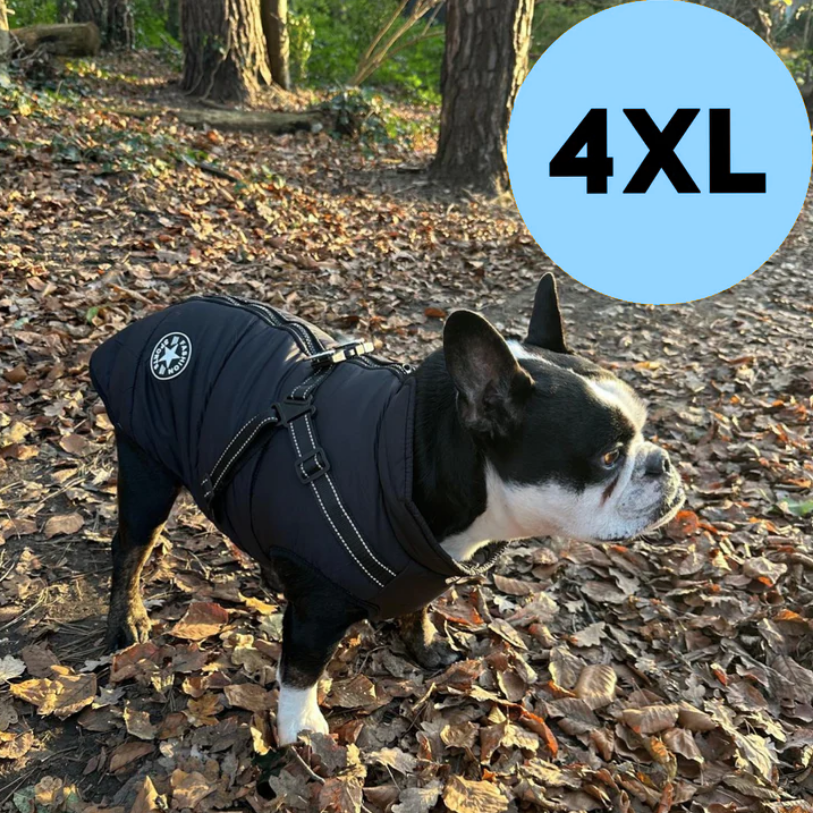 NEOLU - Premium Hundemantel