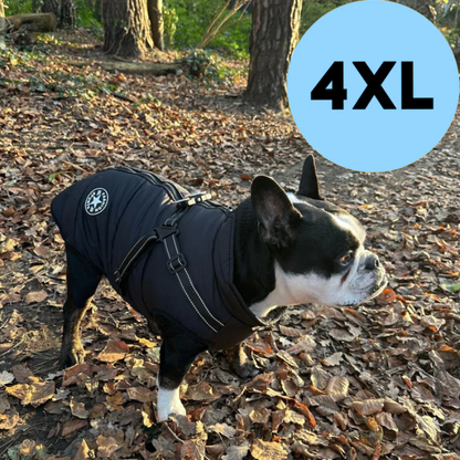 NEOLU - Premium Hundemantel